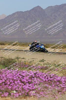 media/Feb-04-2023-SoCal Trackdays (Sat) [[8a776bf2c3]]/Turn 15 Inside Blooming (1050am)/